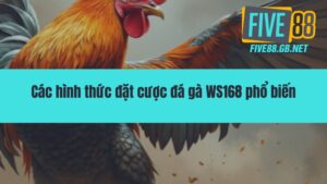 Đá Gà WS168 – Đấu Trường Rực Lửa Cho Đam Mê Bất Tận