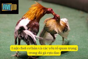 Đá Gà Cựa Dao – Cuộc Chiến Nảy Lửa Trên Đấu Trường
